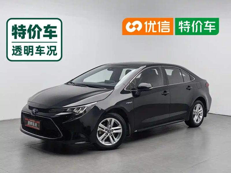 alphard leiling