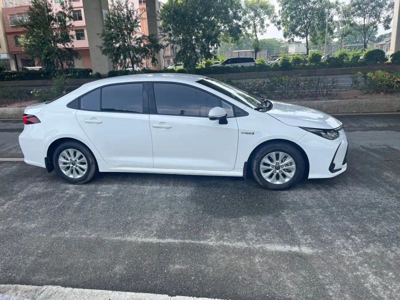 alphard corolla