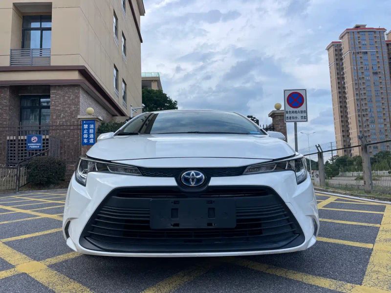 alphard leiling