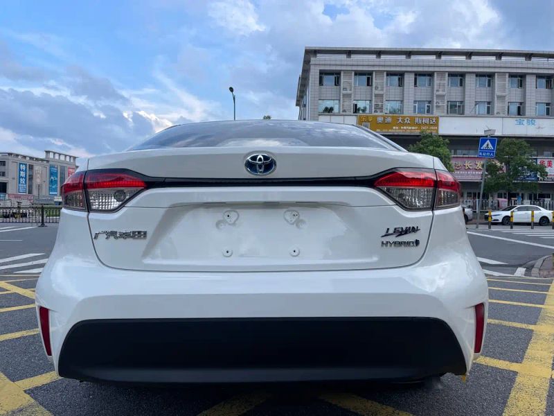 alphard leiling