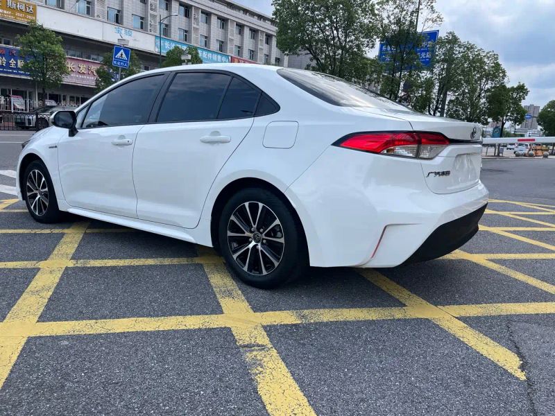 alphard leiling