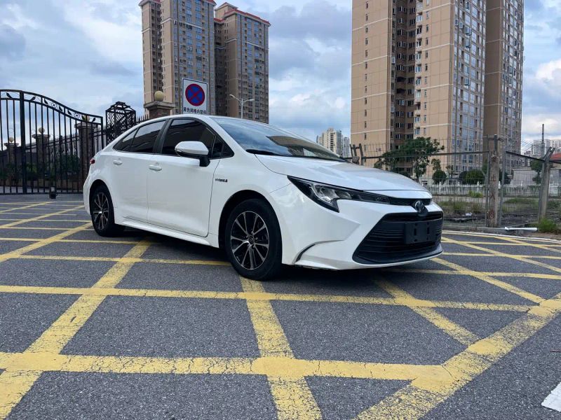 alphard leiling