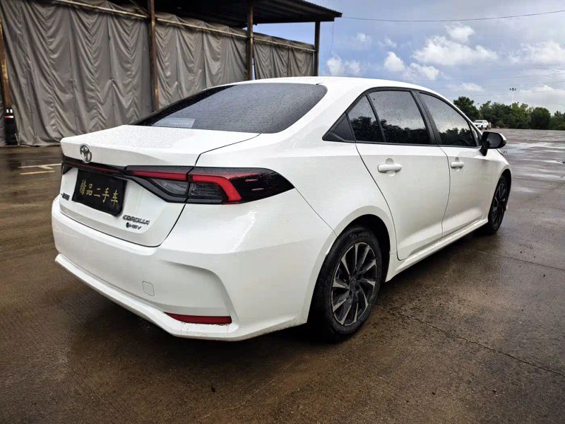 alphard corolla