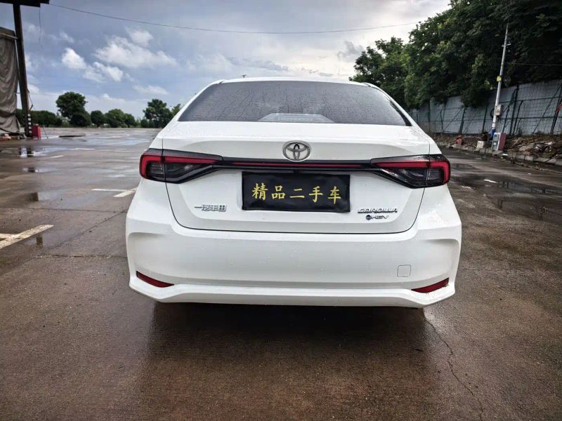 alphard corolla