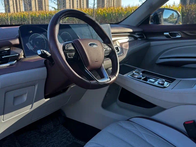 mondeo leader
