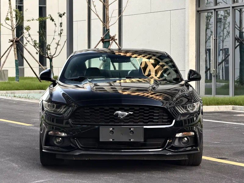 mondeo mustang