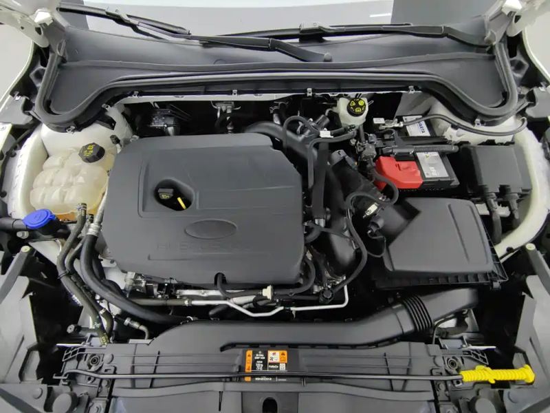mondeo fox