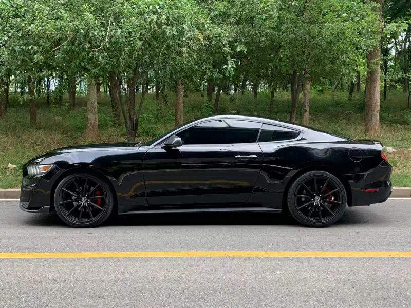 mondeo mustang
