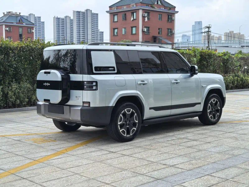 tiqi seven
