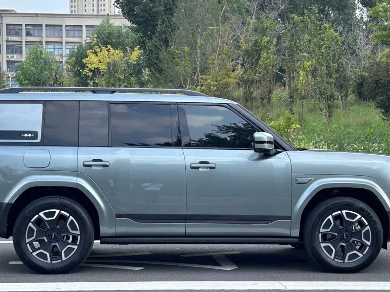 tiqi seven
