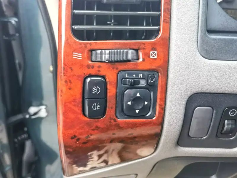 pajaro pajero