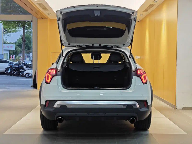 Lynk&co 02