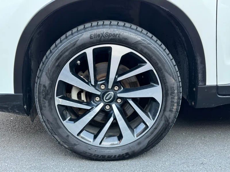 gac-toyota zhi