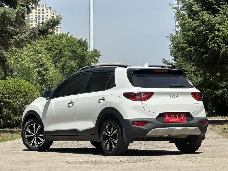 yipao yippo