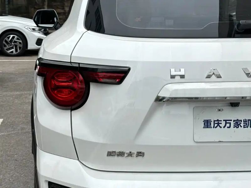 Haval bigdog