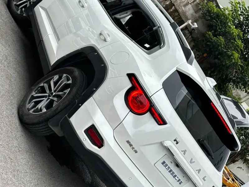 Haval bigdog