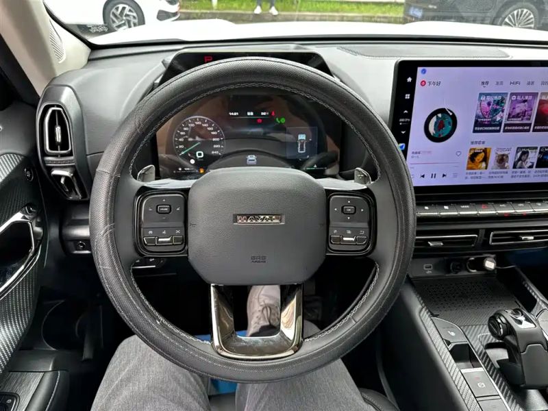 Haval bigdog