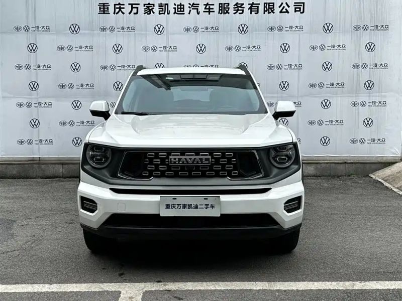 Haval bigdog