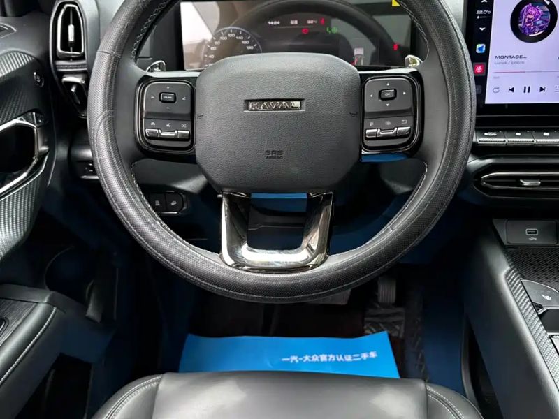 Haval bigdog