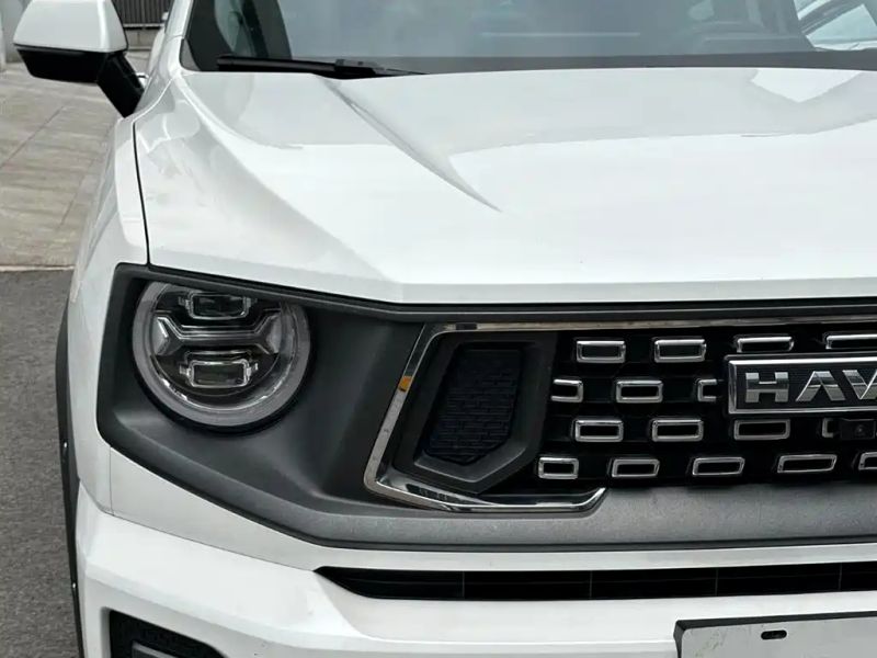 Haval bigdog