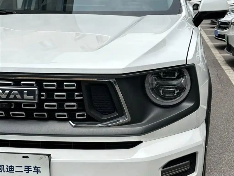 Haval bigdog