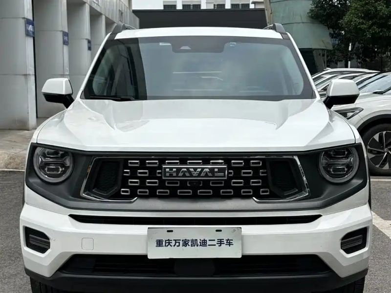 Haval bigdog
