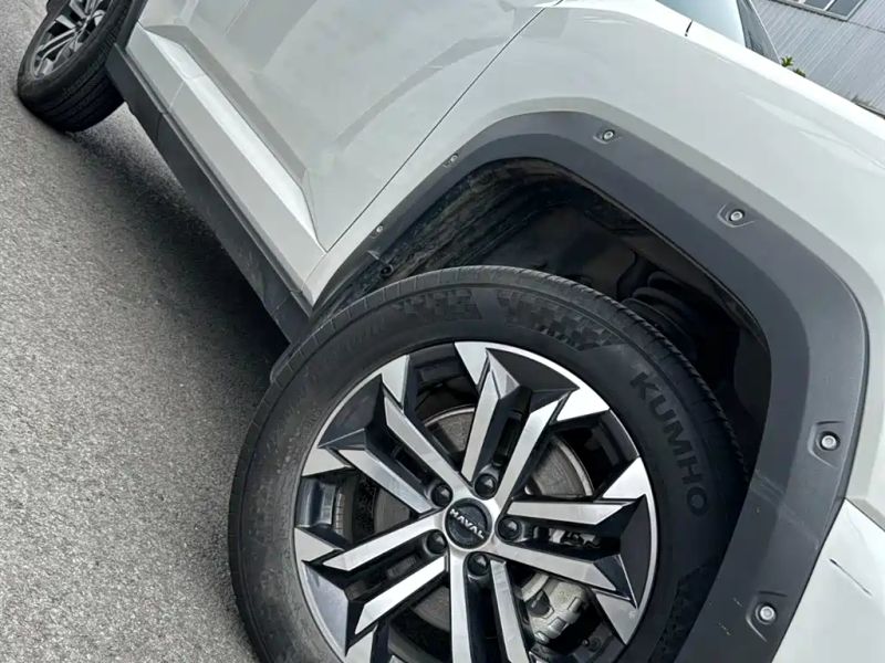 Haval bigdog