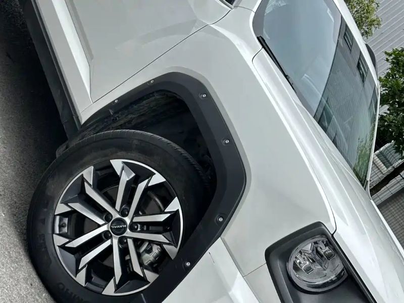 Haval bigdog