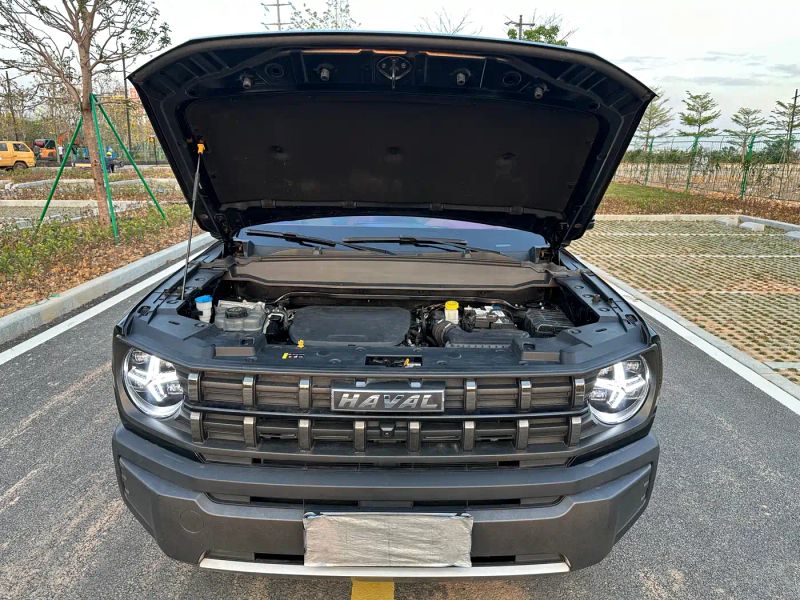 Haval cool-dog