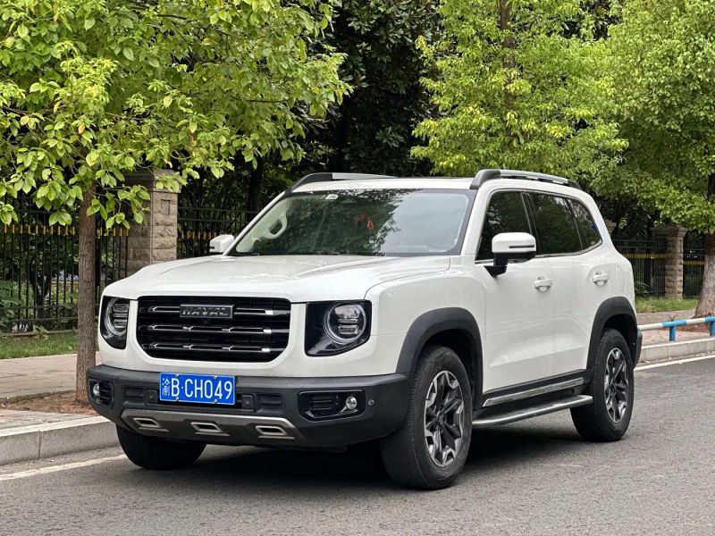 Haval bigdog