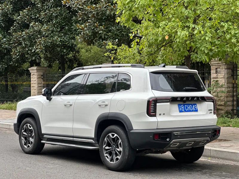 Haval bigdog