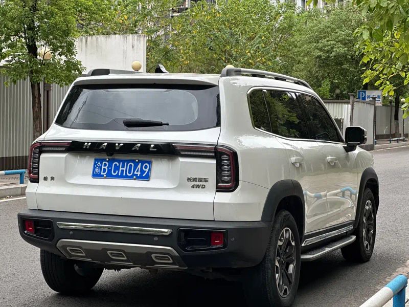 Haval bigdog