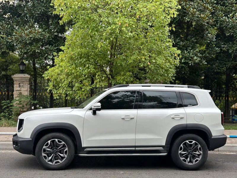 Haval bigdog