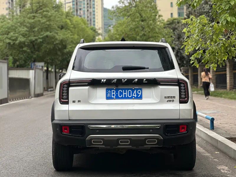 Haval bigdog