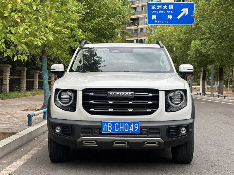 Haval bigdog