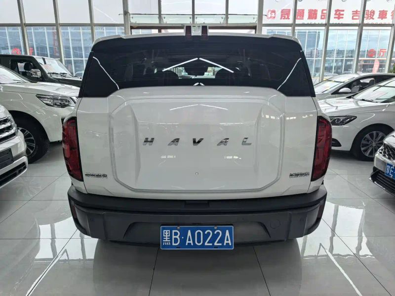 Haval cool-dog