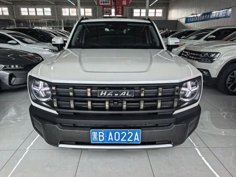 Haval cool-dog