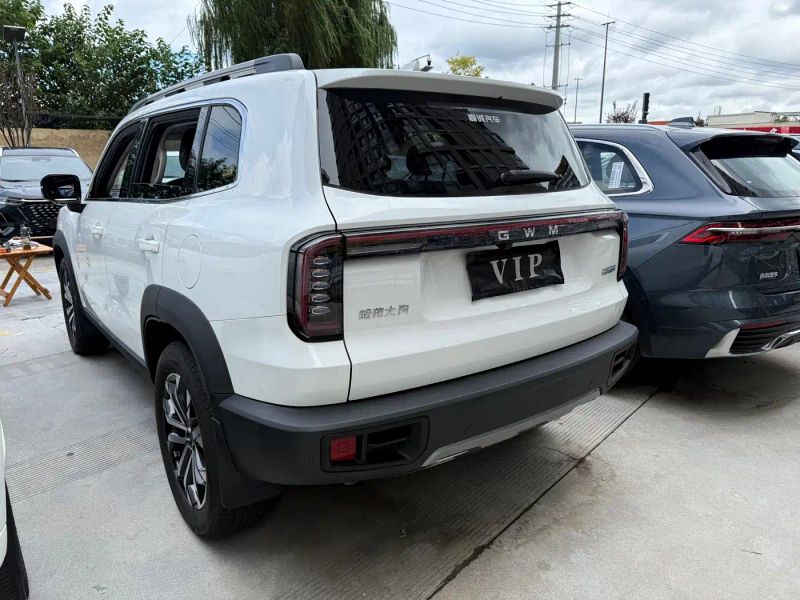 Haval bigdog