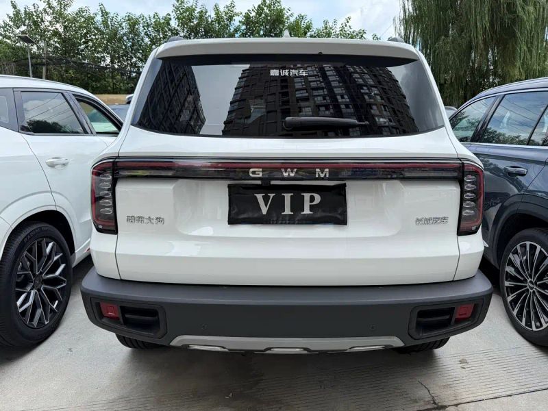 Haval bigdog