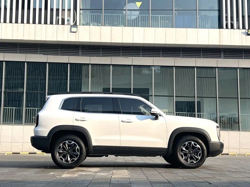 Haval bigdog