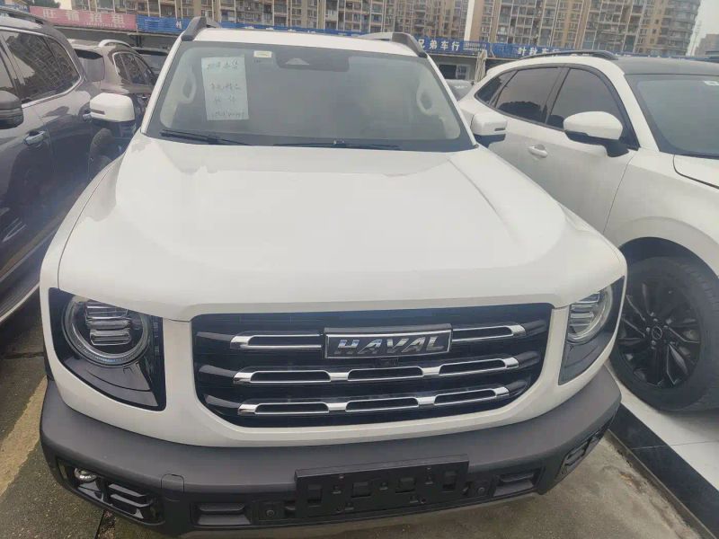 Haval bigdog