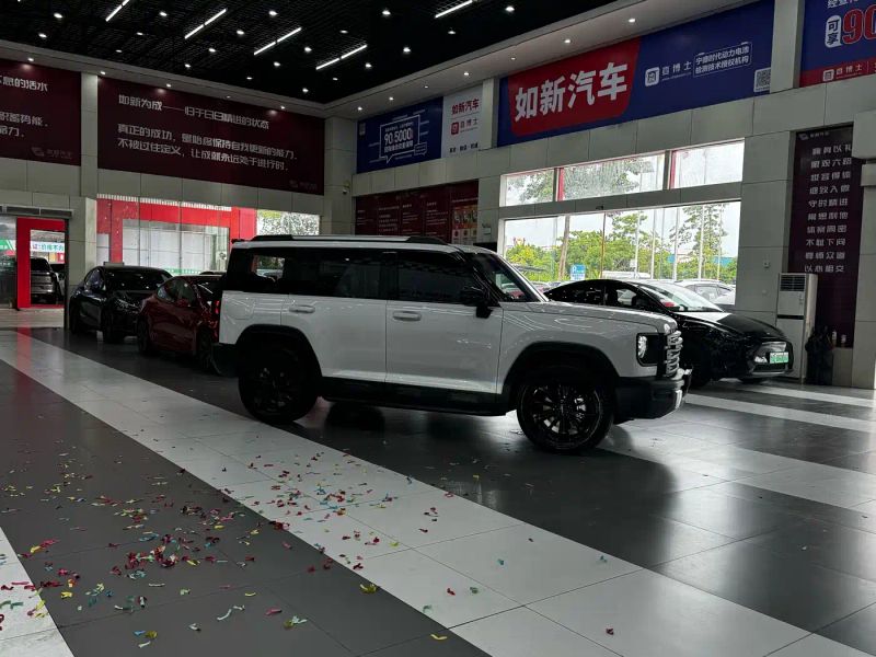 Haval menglong