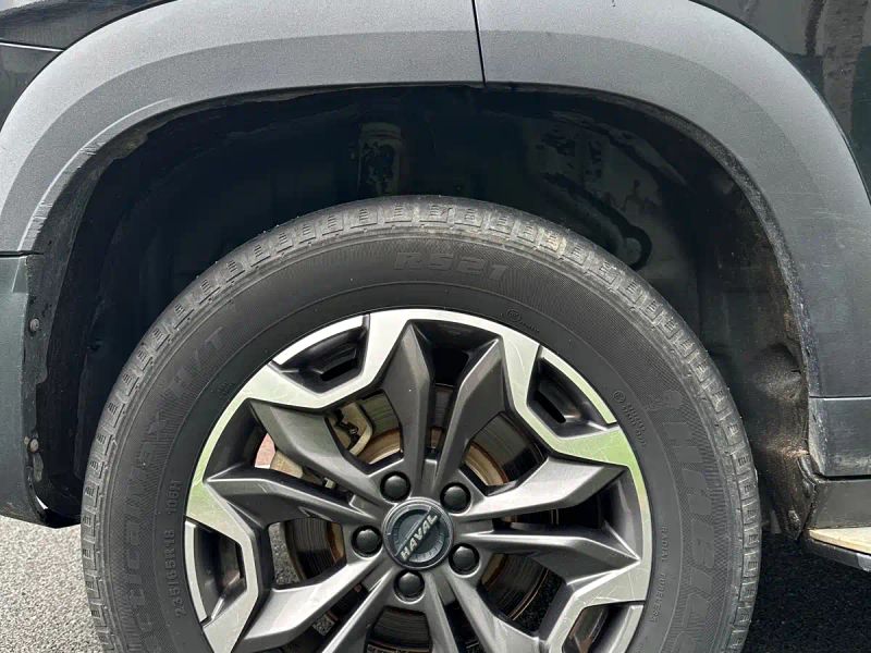Haval bigdog