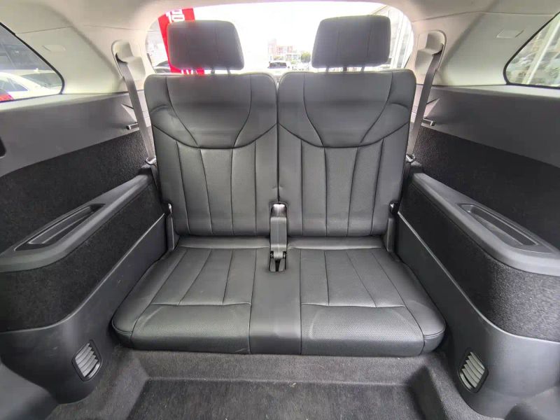 Hongqi ehs9