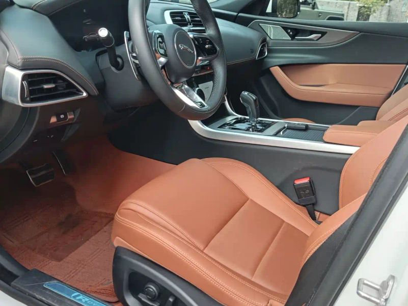 Jaguar xel