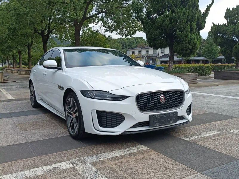 Jaguar xel