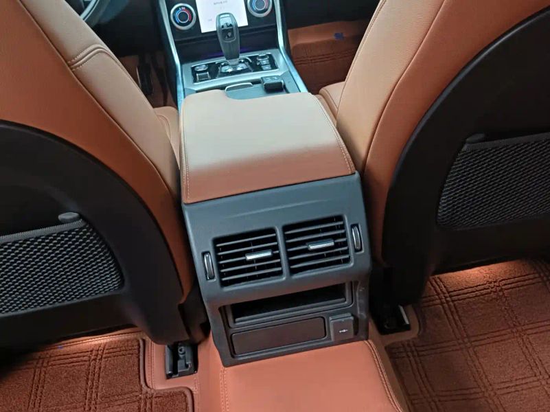 Jaguar xel