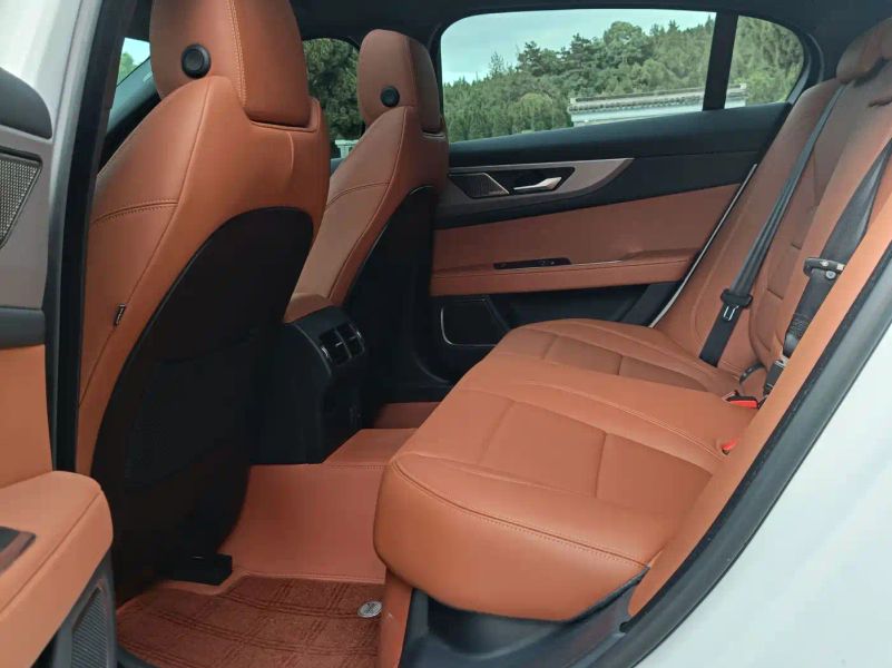Jaguar xel