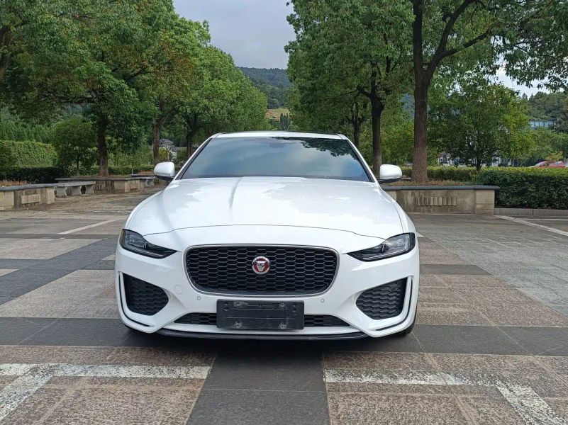 Jaguar xel