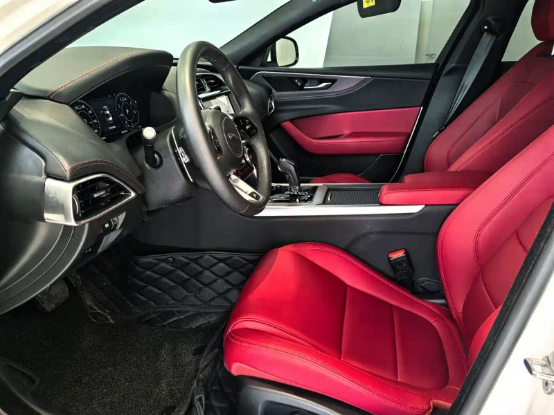 Jaguar xel